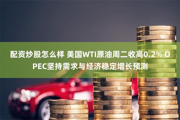 配资炒股怎么样 美国WTI原油周二收高0.2% OPEC坚持需求与经济稳定增长预测