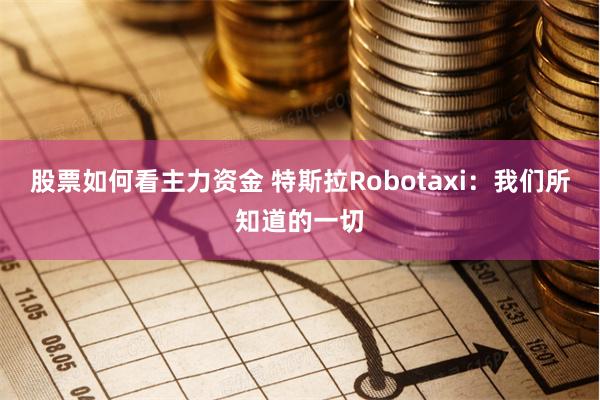 股票如何看主力资金 特斯拉Robotaxi：我们所知道的一切