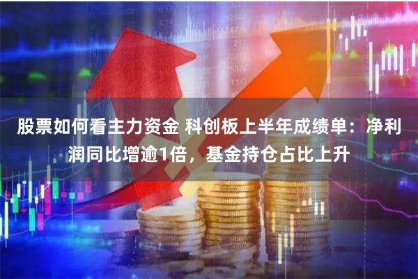 股票如何看主力资金 科创板上半年成绩单：净利润同比增逾1倍，基金持仓占比上升